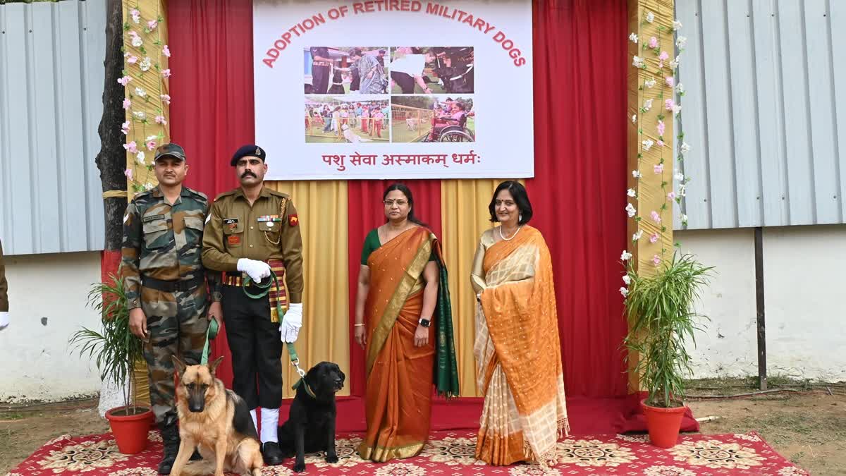 Retired Army dogs being adopted on 246th Remount Veterinary Corps Day