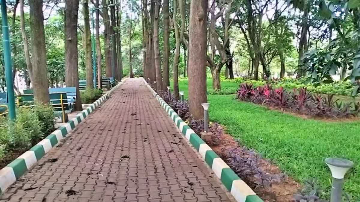 Cubbon Park