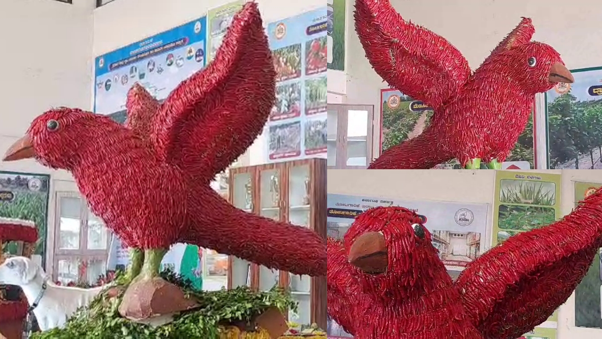 BAGALKOTE  13TH HORTICULTURE FAIR  FRUIT AND FLOWER EXHIBITION  13ನೇ ತೋಟಗಾರಿಕಾ ಮೇಳ