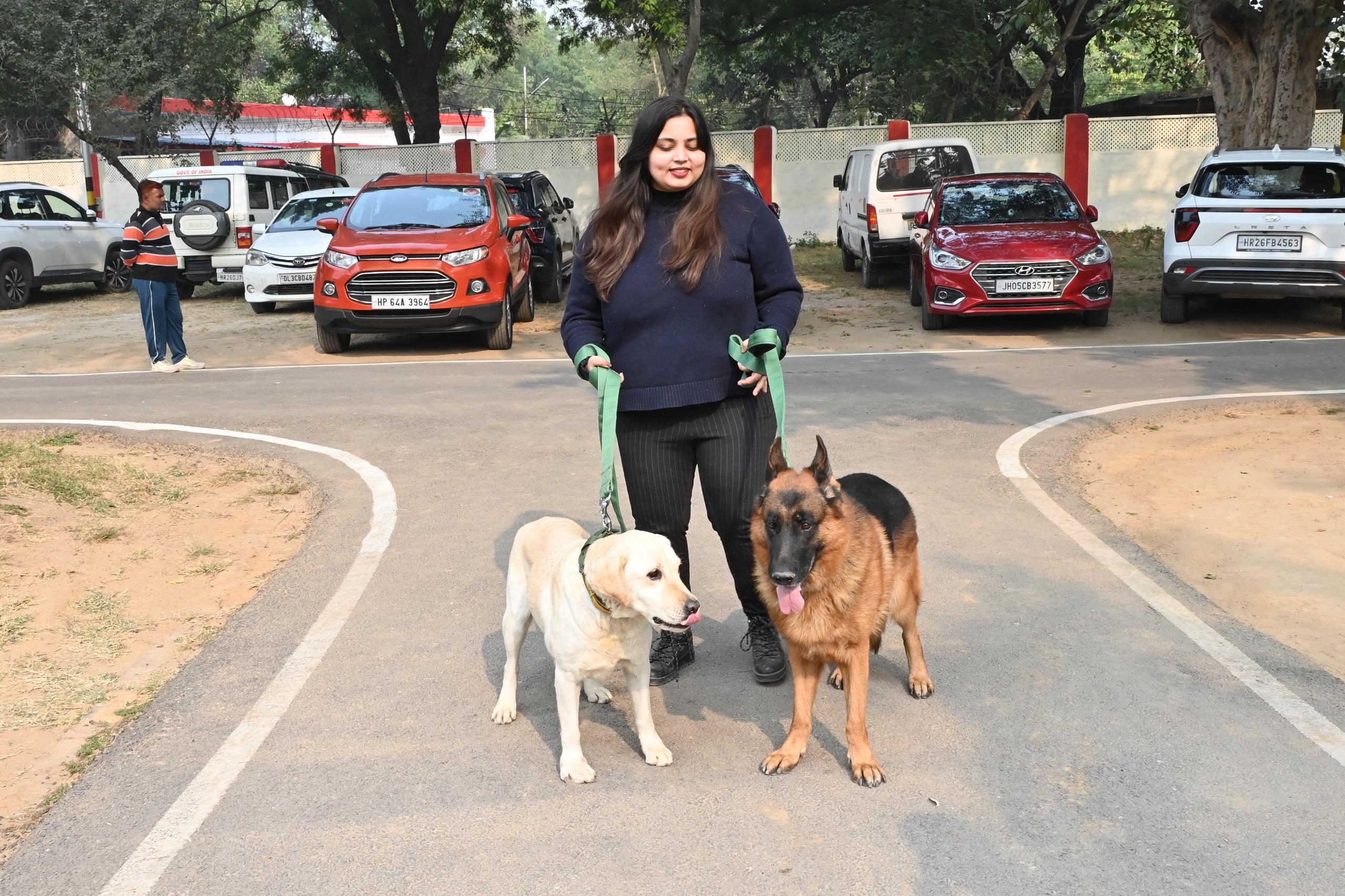 Retired Army dogs being adopted on 246th Remount Veterinary Corps Day