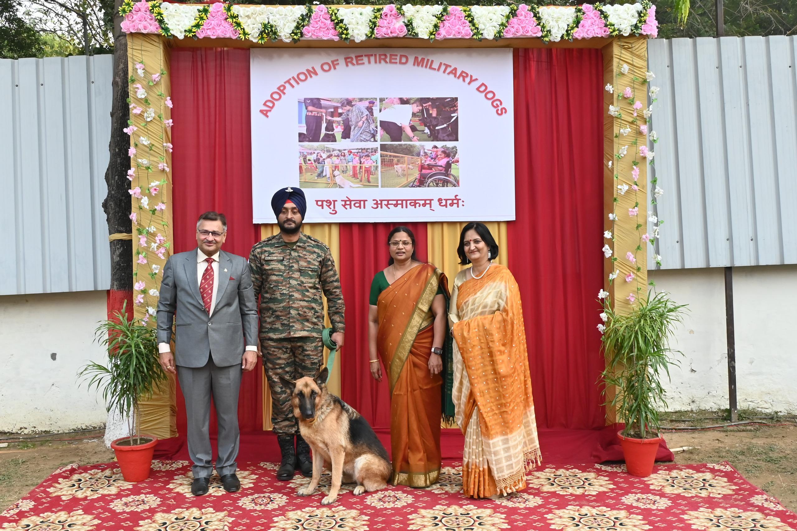 Retired Army dogs being adopted on 246th Remount Veterinary Corps Day