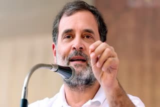 CASTE CENSUS RAHUL GANDHI  CONGRESS AND CASTE CENSUS  രാഹുല്‍ ഗാന്ധി ജാതി സെന്‍സസ്  കോണ്‍ഗ്രസ് പാര്‍ട്ടി