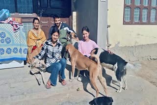 Animal Lover Diksha help injured animals in Mandi