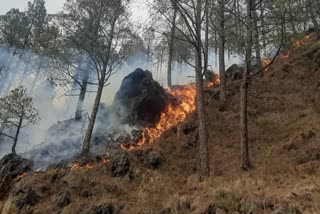 Uttarakhand Forest Fire