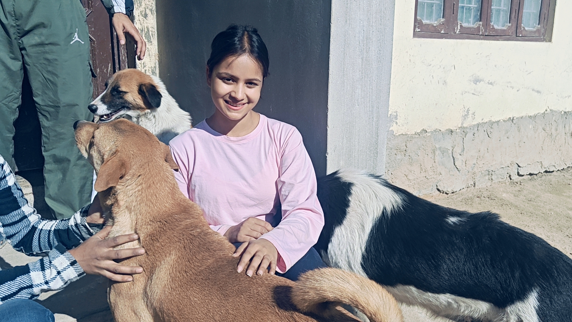 Animal Lover Diksha help injured animals in Mandi