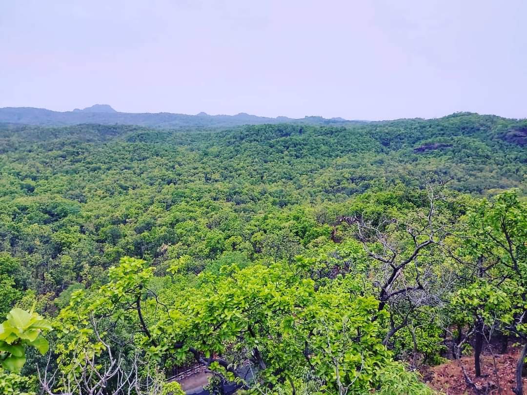 New Year celebration in Pachmarhi