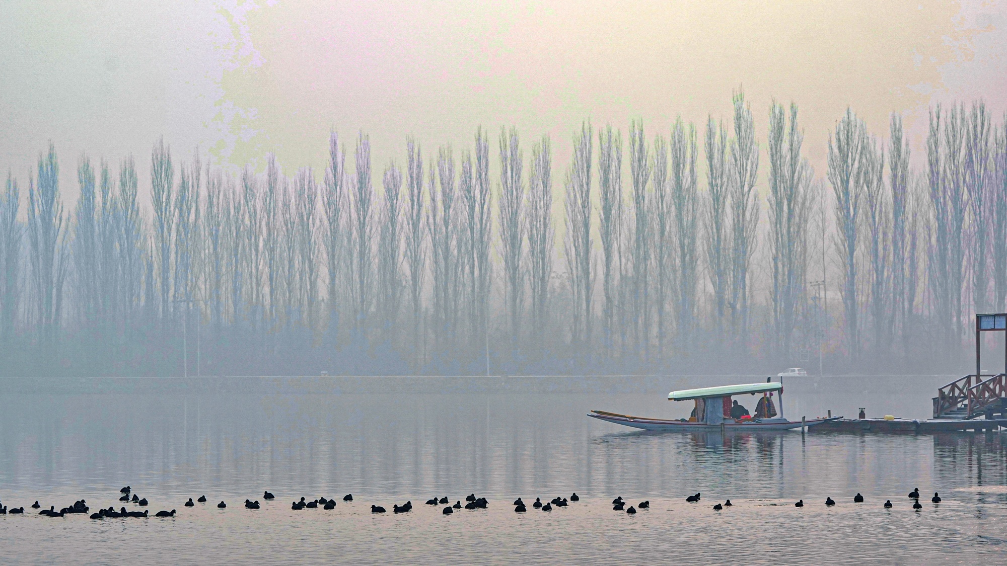 A day after Srinagar recorded the coldest December night of this century at minus 8.5 degrees Celsius, there was a slight respite from biting cold on Sunday as the summer capital logged a minimum temperature of -4.6.