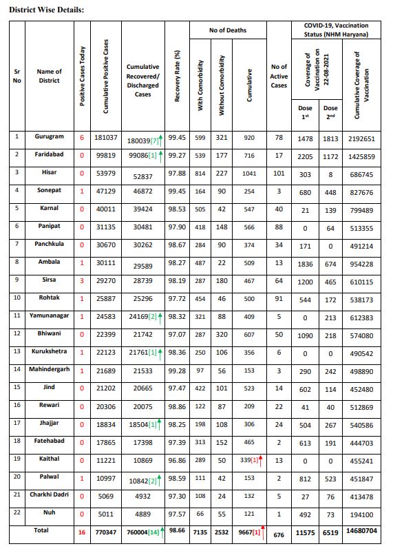 haryana corona update