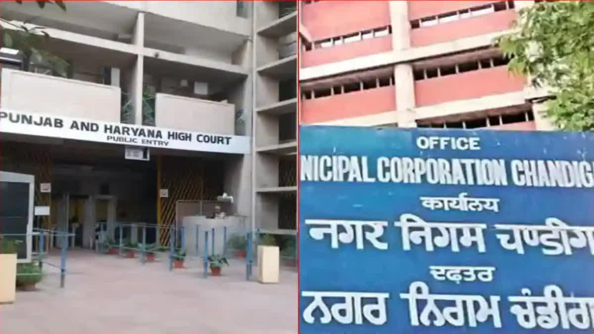 Chandigarh Mayor Election: Both the petitions will be heard in Punjab Haryana High Court today