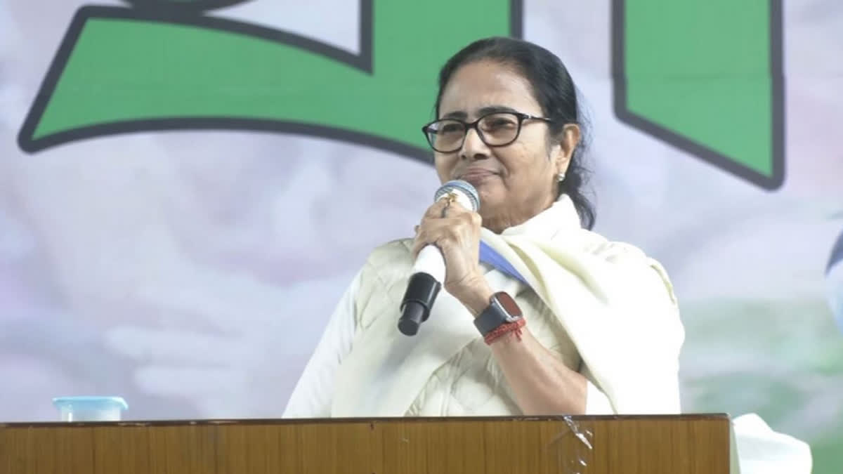 Mamata leads harmony rally, denounces BJP's 'religious politicisation'