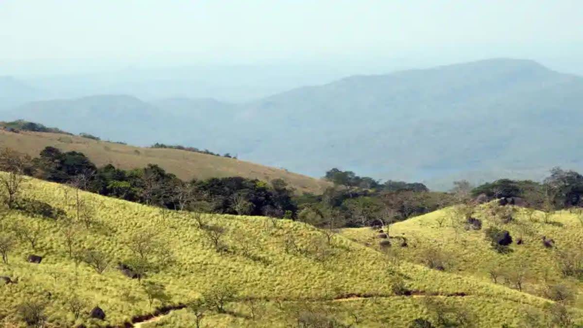 Agasthyarkoodam trekking  അഗസ്ത്യാര്‍കൂടം ട്രക്കിങ്  മലനിരകളില്‍ ട്രക്കിങ്  Adventure tourism in Kerala