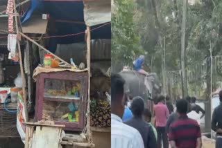 Kunnamkulam Elephant Attack  Elephant Attack Payyur Temple  പയ്യൂരിൽ ആന ഇടഞ്ഞു  അമ്പലത്തിൽ ആന ഇടഞ്ഞു