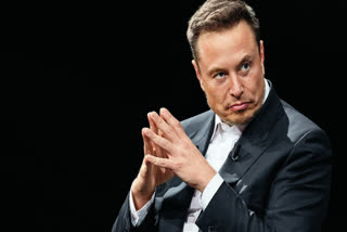 Tesla CEO Elon Musk say about India's permanent seat in the UN, which is being discussed everywhere?