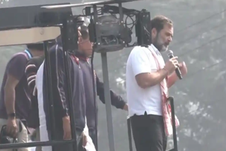 Rahul Gandhi in Assam