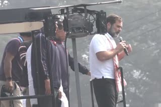 Rahul Gandhi In Assam