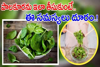 Health Benefits Of Spinach Juice