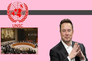 UNSC Membership