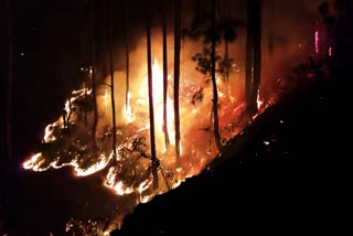 Karsog Forest Fire