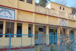 Rajeev Gandhi Navodaya Vidyalaya Chinyalisaur