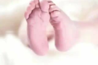 One Year Old Girl Drowned  one year old girl died  മുട്ടില്‍ നടന്ന ദുരന്തം  ഒരു വയസുകാരിയുടെ മരണം  ബക്കറ്റിലെ വെള്ളത്തില്‍ മുങ്ങിമരണം  കുളിക്കുന്നതിനിടെ അപകടം