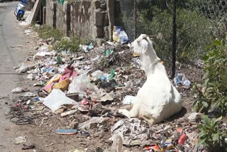 Pothamedu littered with garbage  Need Proper Waste Disposal Facility  പോതമേട് മാലിന്യത്താല്‍ നിറഞ്ഞു  റോഡിനിരുവശവും മാലിന്യം