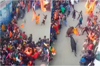 Bull Fight in Pauri