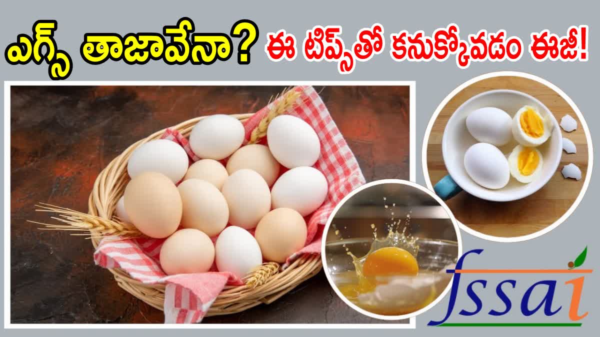 How to Check the Freshness of Eggs