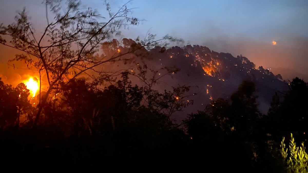 Amid Dry Spell, NDMA Issues Forest Fire Alert In Jammu And Kashmir