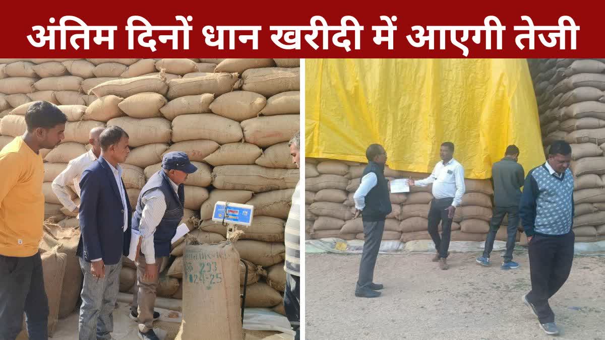 paddy purchase in chhattisgarh