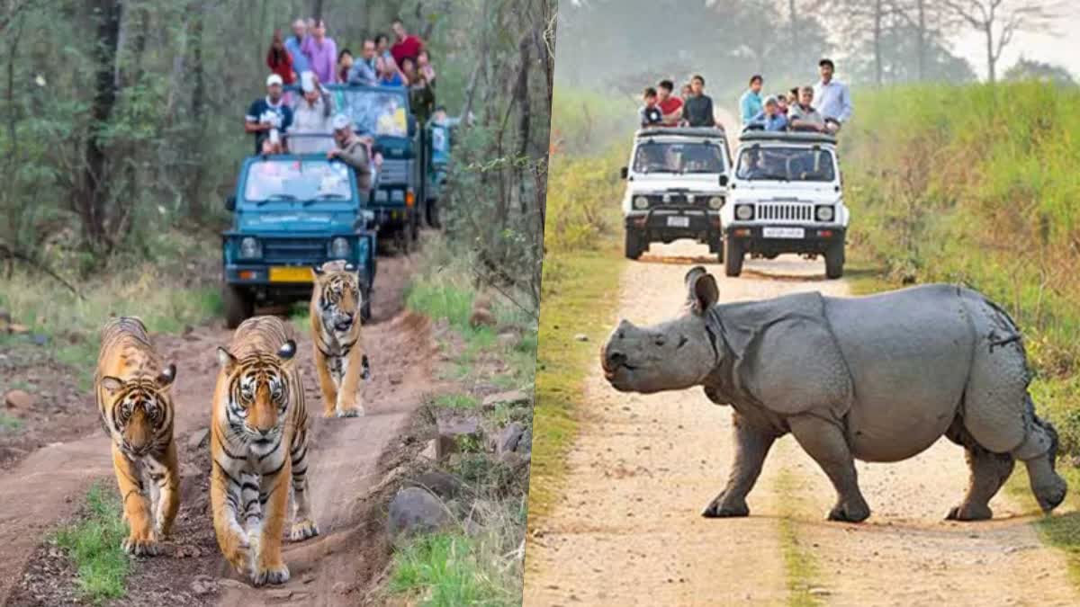 jungle_safari_best_places_in_india