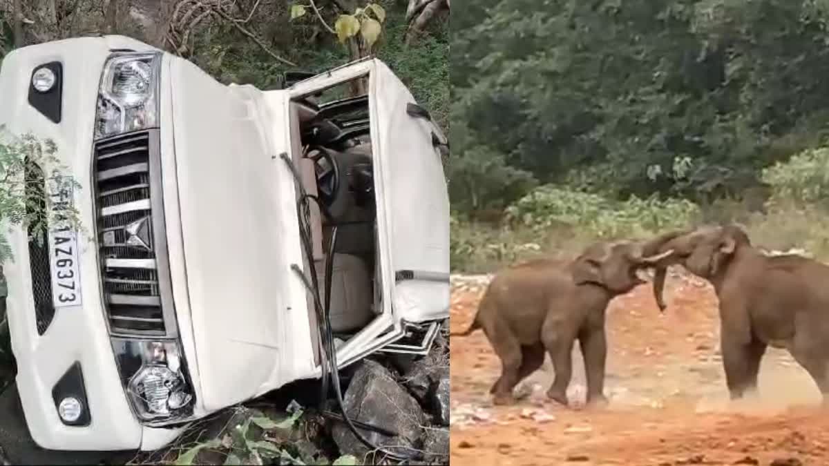 WILD ELEPHANT ATTACK  WILD ELEPHANTS CLASH  KALLAR WASTE PLANT  ELEPHANTS CLASH