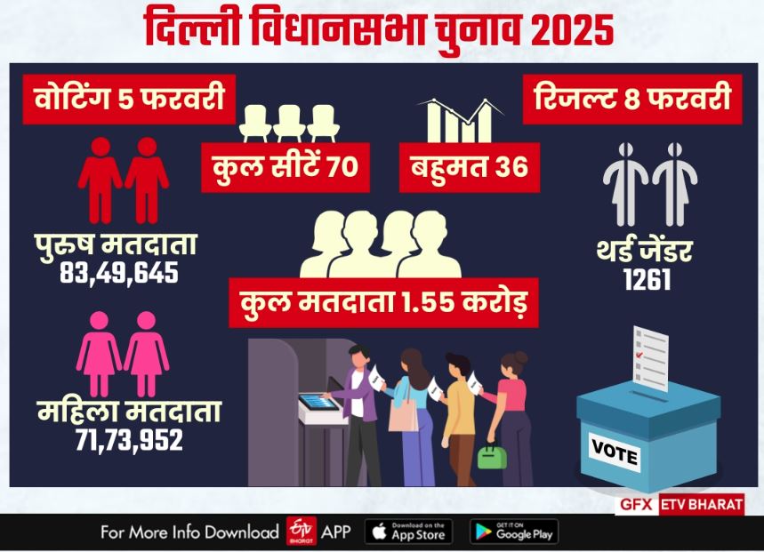 दिल्ली विधानसभा चुनाव 2025