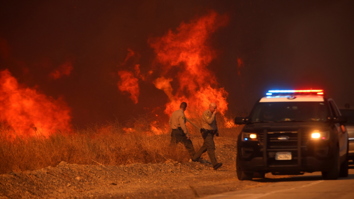 LOS ANGELES WILDFIRES