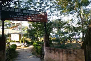 Cycling tracks in Deepor Beel