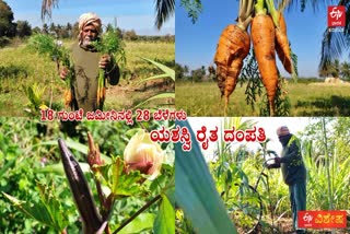 DAVANAGERE ORGANIC FERTILIZER FARMING  ದಾವಣಗೆರೆಯ ವೃದ್ಧ ದಂಪತಿ ಕೃಷಿ  ಸಾವಯವ ಗೊಬ್ಬರ ELDERLY FARM COUPLE