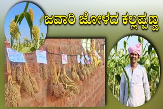 Farmer Kallappa Pandithappa Neginahala Success Story: He grew 18 varieties of corn