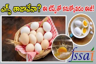 How to Check the Freshness of Eggs