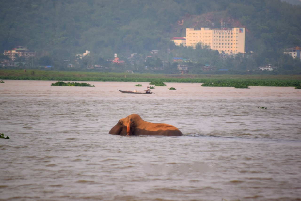 Cycling tracks in Deepor Beel