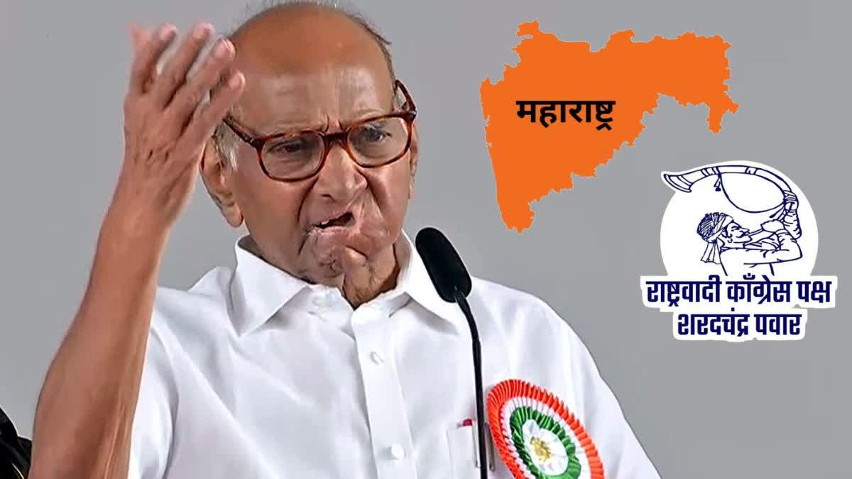 ncp sharadchandra pawar party new symbol tutarivala manus will liked by people of Maharashtra or not know the probabilities