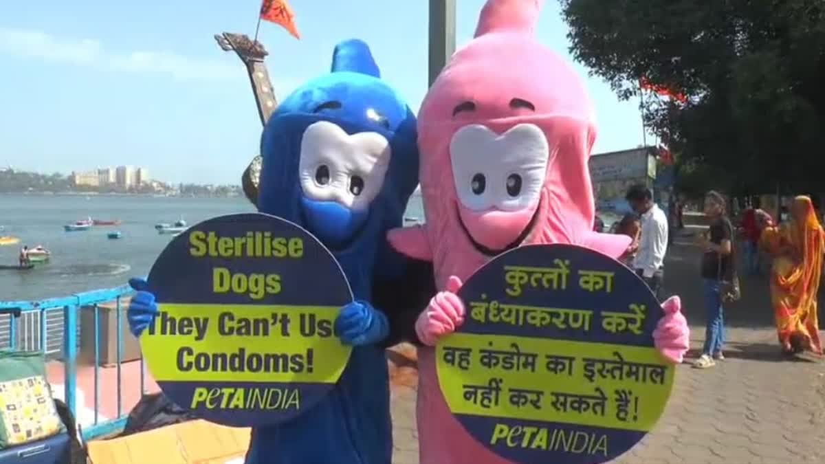 Bhopal PETA Campaign