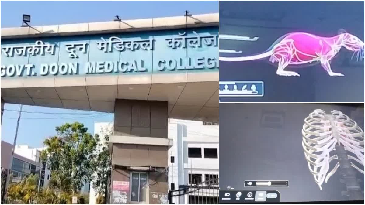 3D Cadaver at Doon Medical College