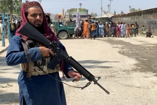 Afghan Taliban Execution