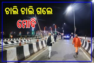 PM Walked On Flyover