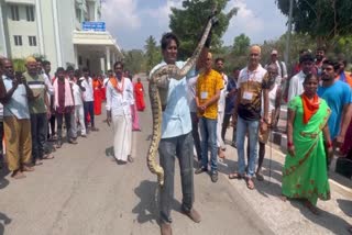 Python_at_Tirumala_Hills