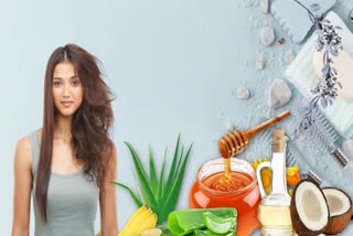Home Remedies For Dry Hair News