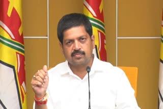 TDP_Kollu_Ravindra_Comments_on_CM_YS_Jagan