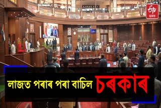 Assembly budget session