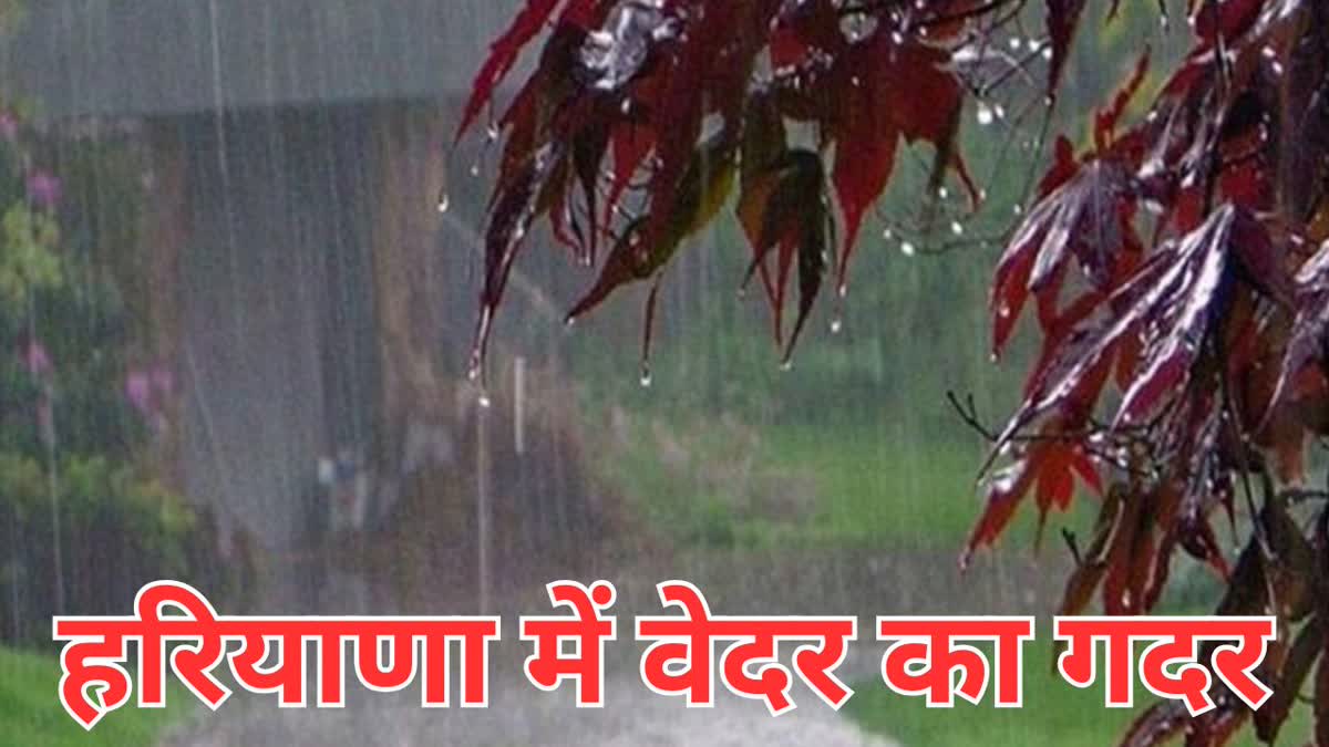 RAIN ALERT IN HARYANA