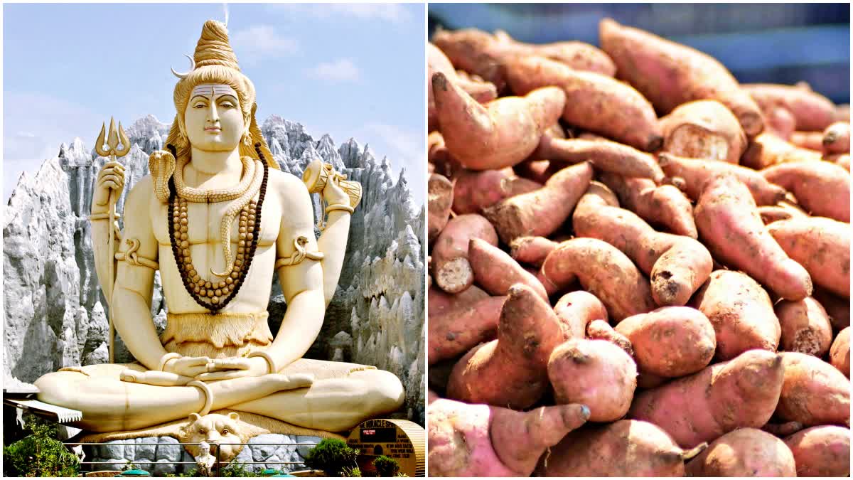 Sweet Potato Benefits in Telugu