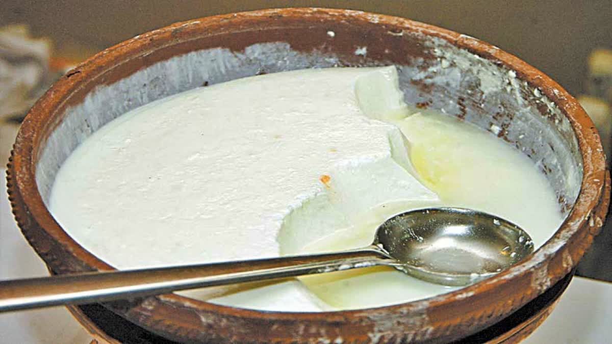 instant curd making process